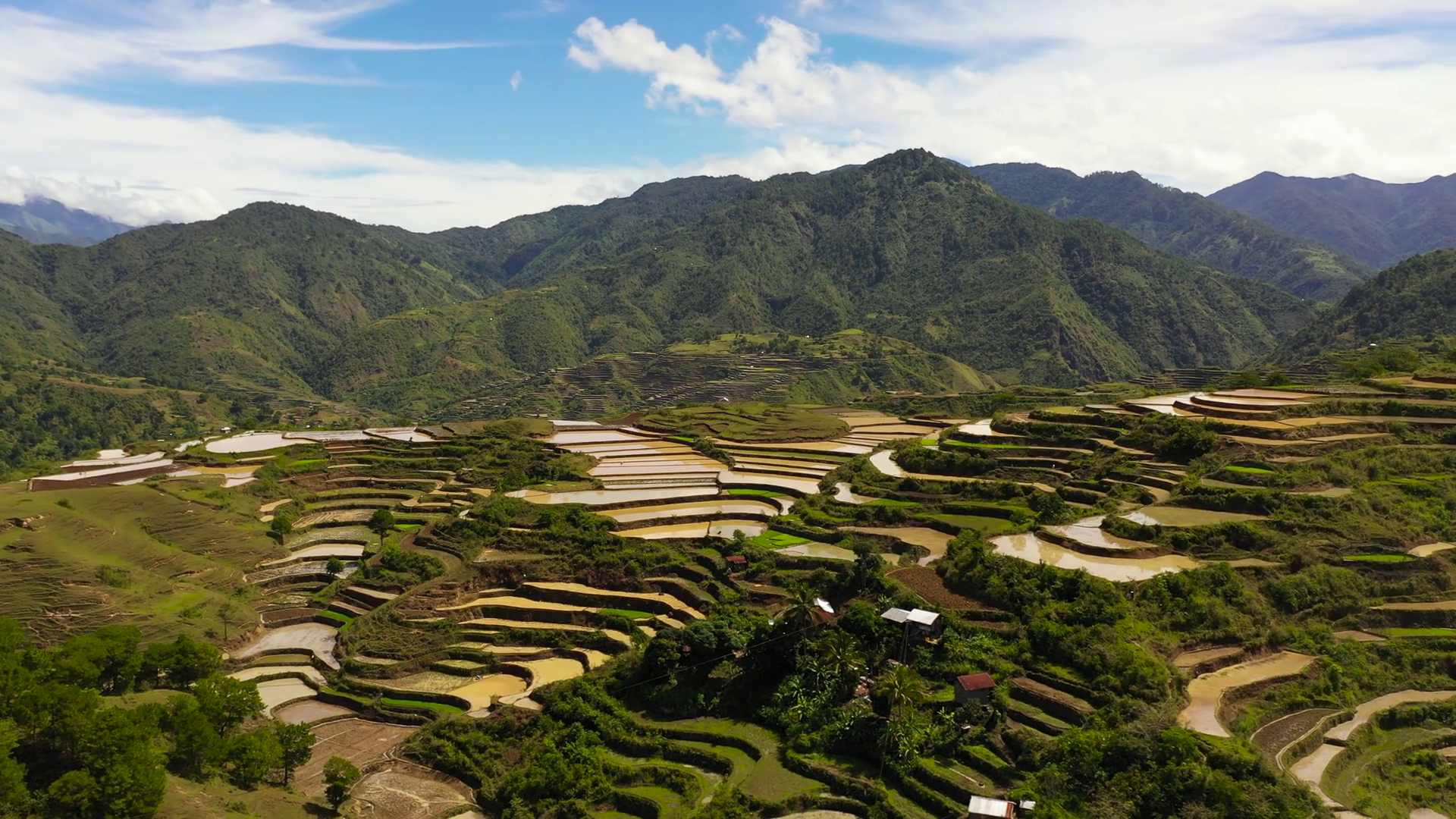 Rice Terraces Fields In Highlands Stock Footage SBV-348849045 - Storyblocks