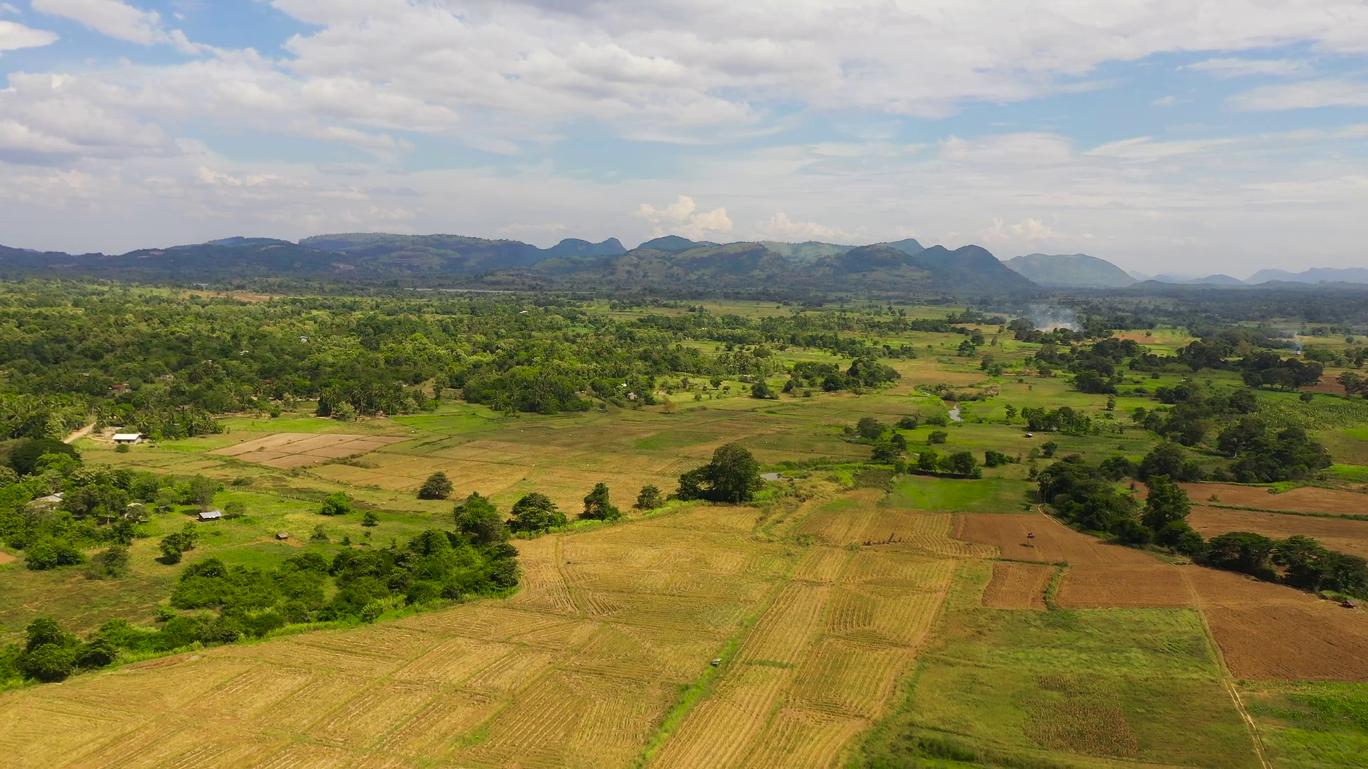 A Valley With Rice Fields Agricultural Lands Stock Footage SBV ...