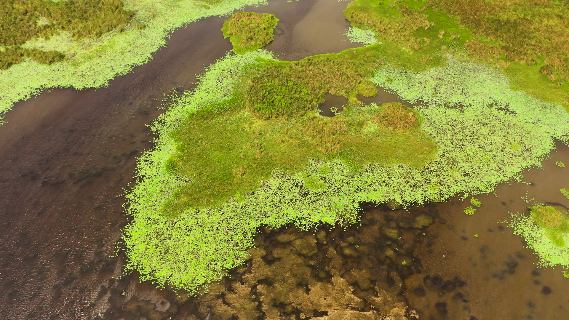 Top View Of Swamps Lakes In Reserve Natural Stock Footage SBV-348944864 ...