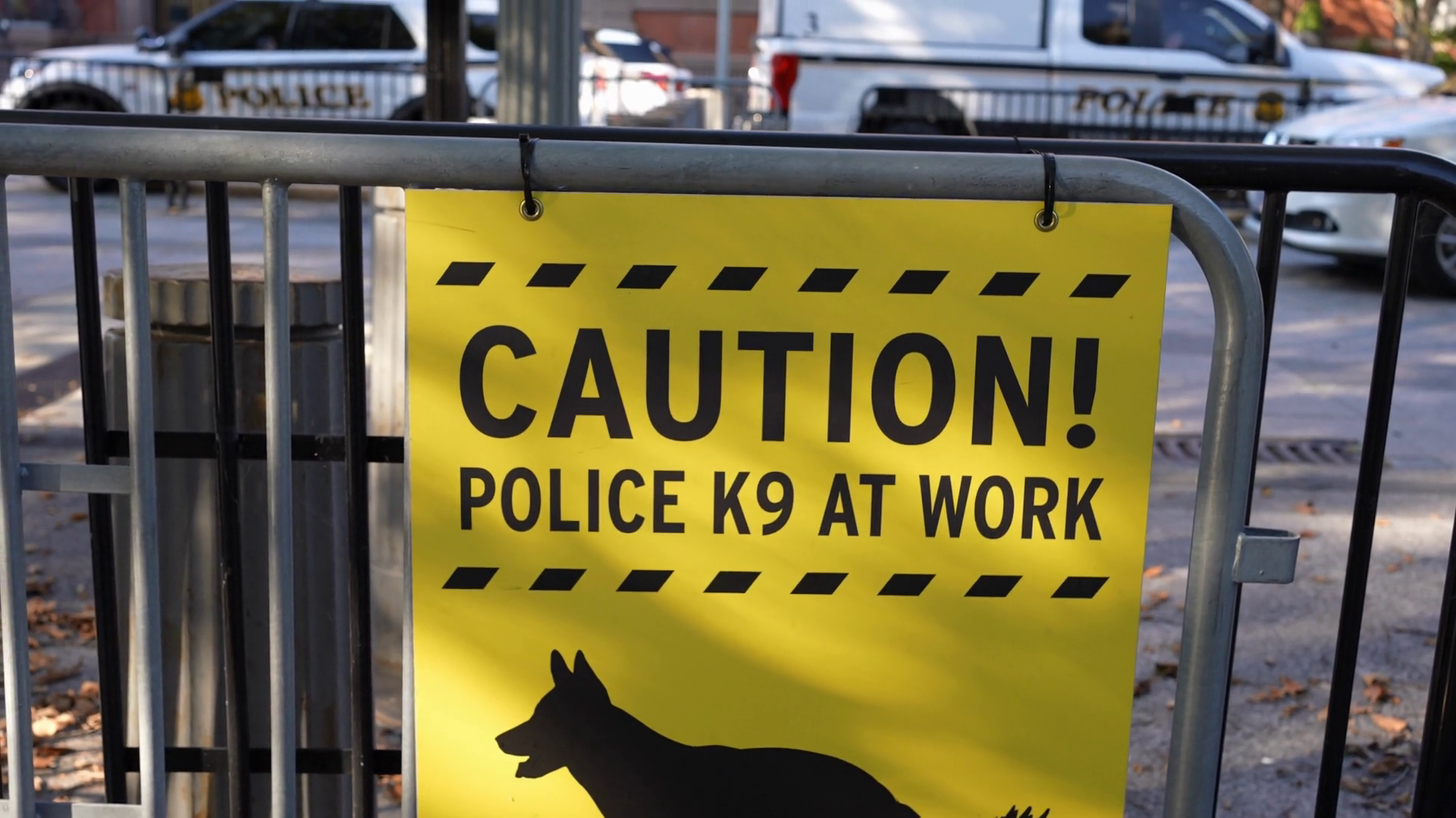 Washington Dc 2023 Caution Police K 9 At Stock Footage SBV-348552383 ...