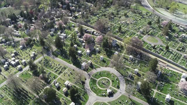 Cemetery Plot Stock Footage: Royalty-Free Video Clips - Storyblocks