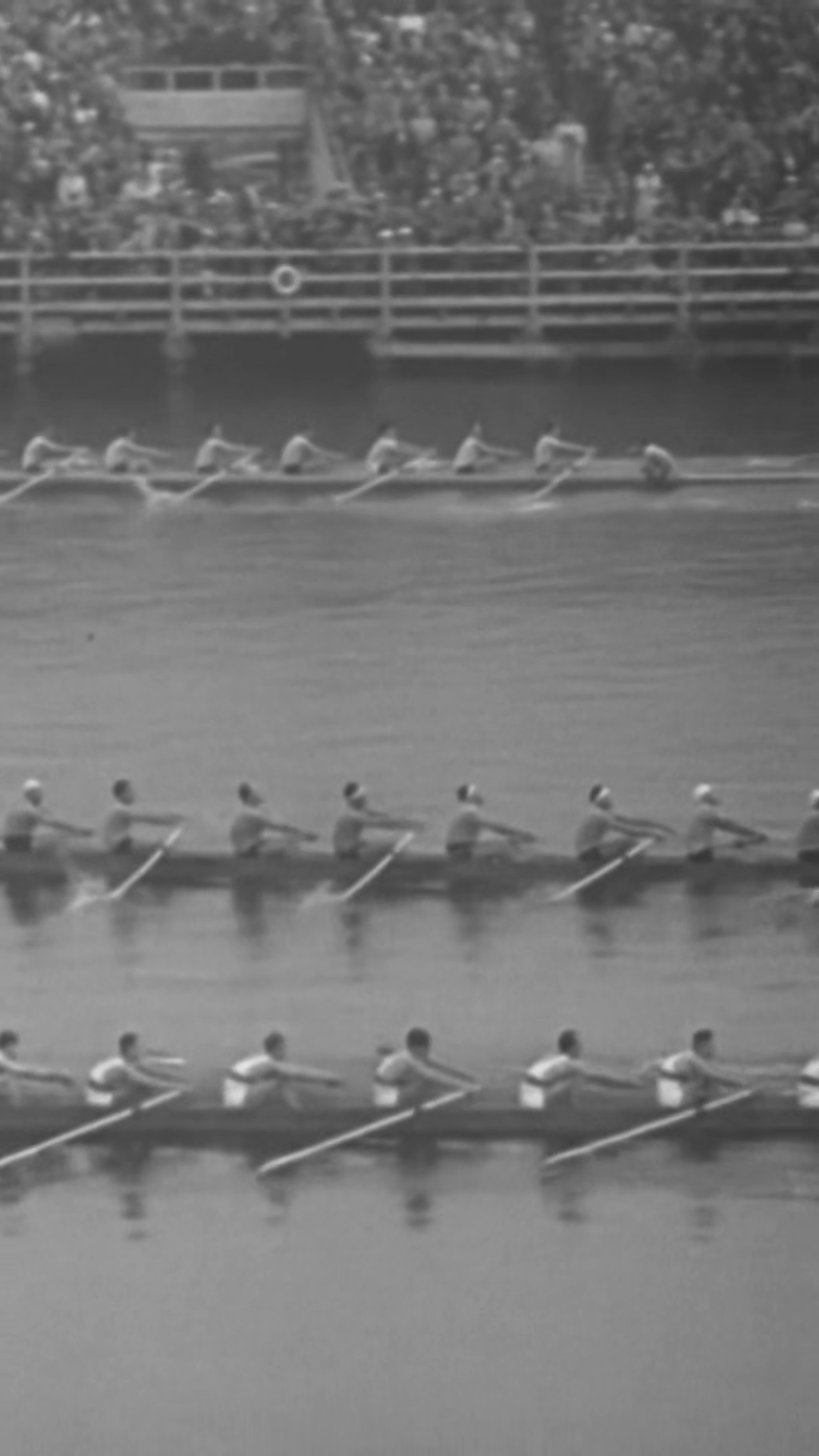 1936 - Eight-man Rowing Competition In Stock Footage SBV-354196725 ...