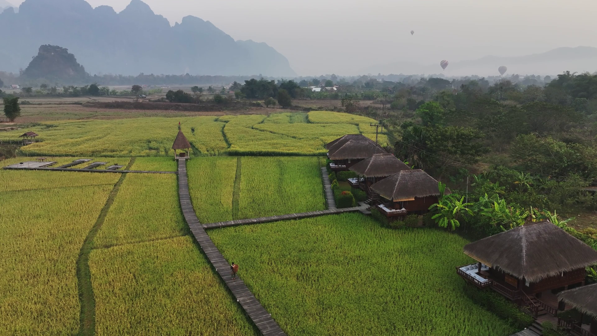 Aerial View Of Lush Green Rice Paddies Stock Footage SBV-353311469 ...