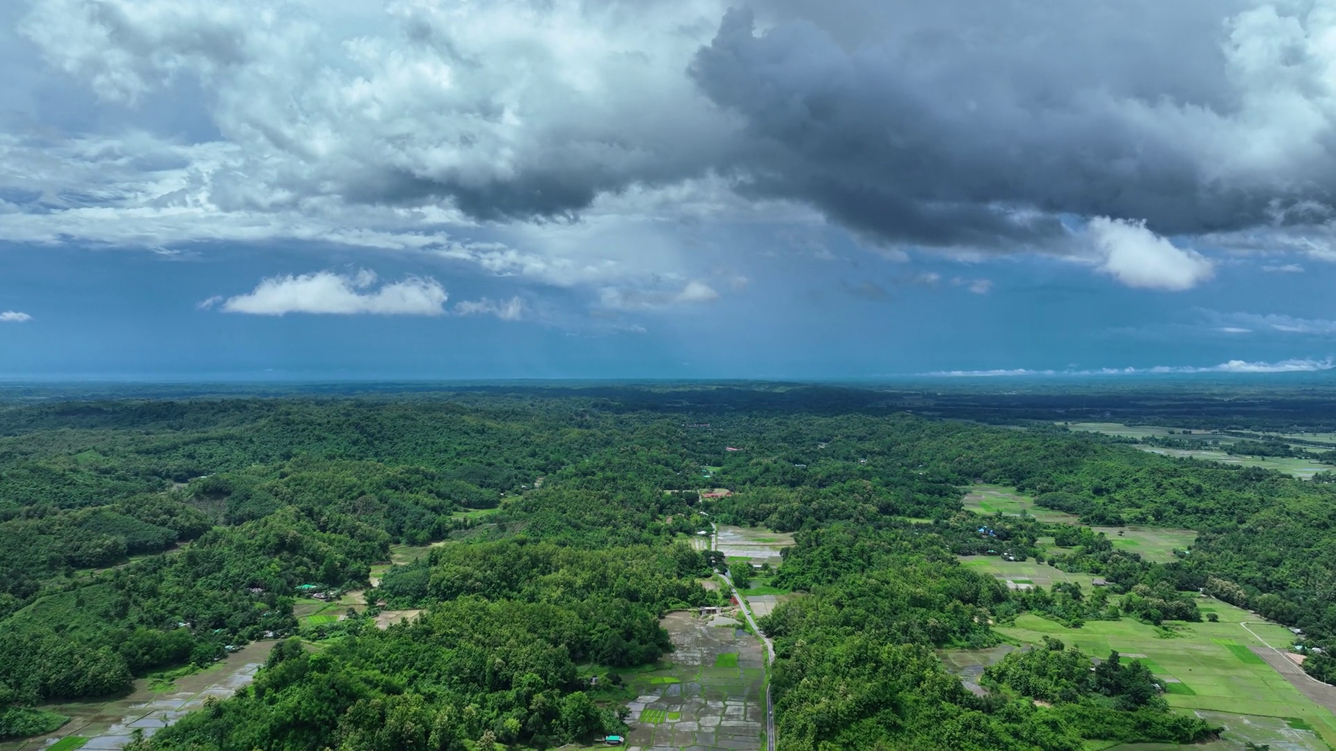 Aerial View Of Lush Green Forest Bangladesh Stock Footage SBV-352680176 ...