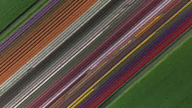 Farmland Patterns Stock Footage: Royalty-Free Video Clips - Storyblocks