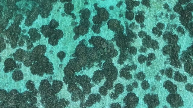 Coastal Pattern Stock Footage: Royalty-Free Video Clips - Storyblocks