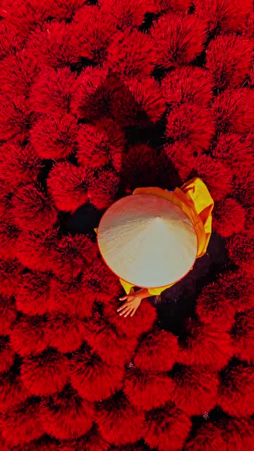 Color Craft Stock Footage: Royalty-Free Video Clips - Storyblocks