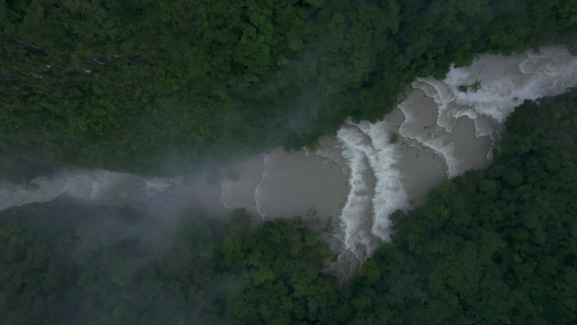 Aerial View Of Lush Rainforest With Pristine Stock Footage SBV ...