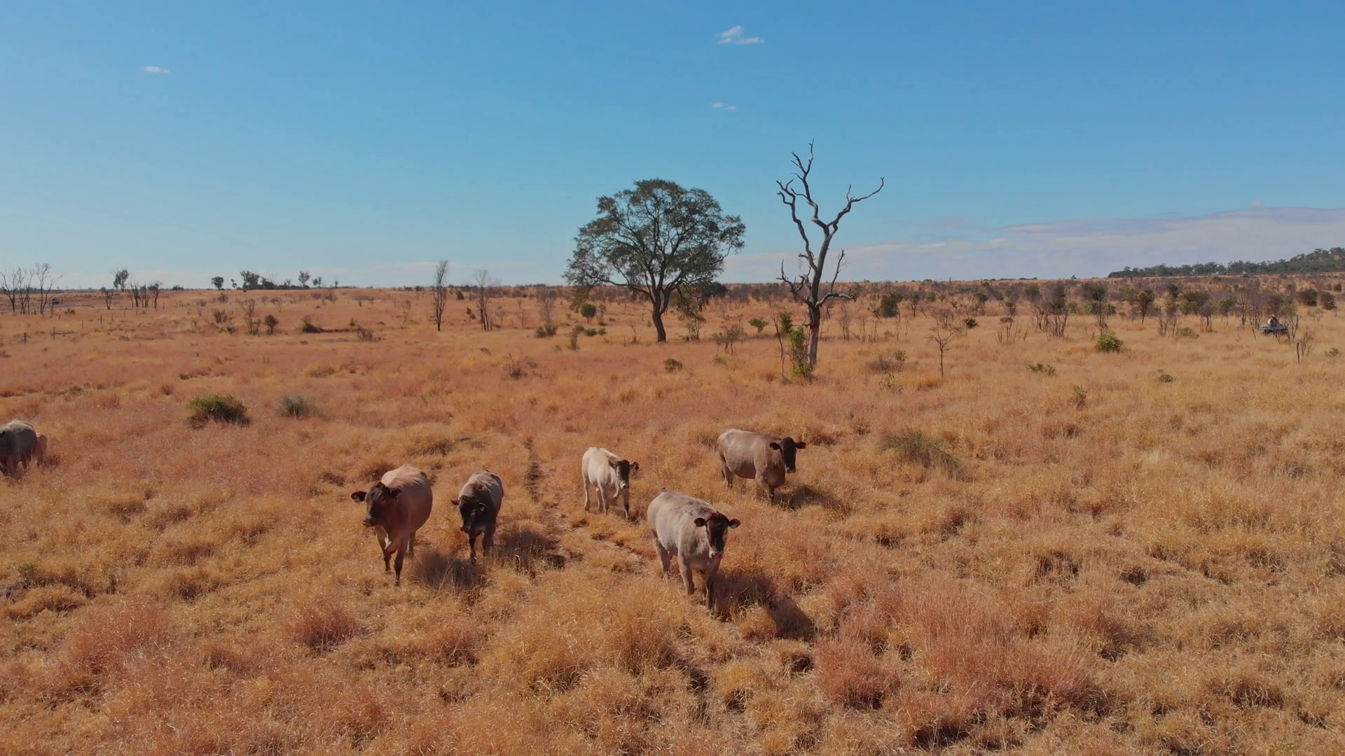 Aerial View Of Dry Outback Landscape With Stock Footage SBV-349252658 ...