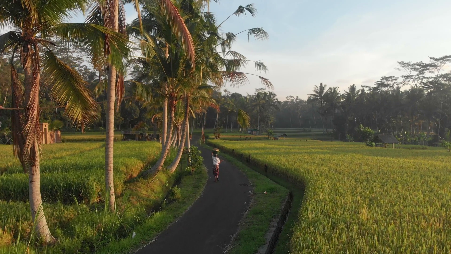 Ubud Indonesia - 25 November 2022: Aerial Stock Footage SBV-348914889 ...