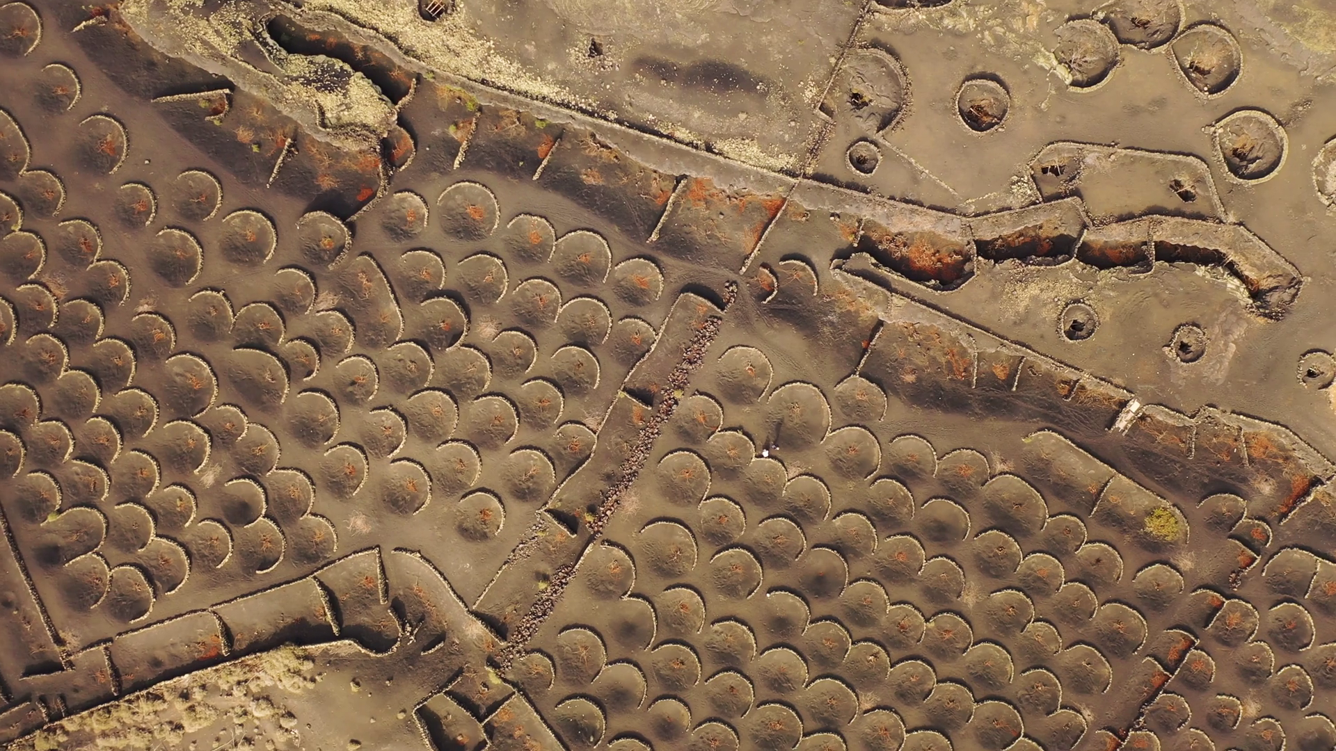 Aerial View Of La Geria Volcanic Area With Stock Footage SBV-348776504 ...