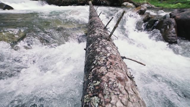 Log Footage Stock Footage: Royalty-Free Video Clips - Storyblocks