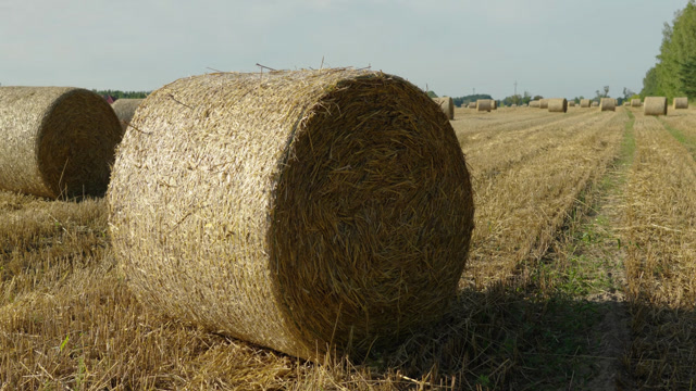 Straw Bales Stock Footage: Royalty-Free Video Clips - Storyblocks