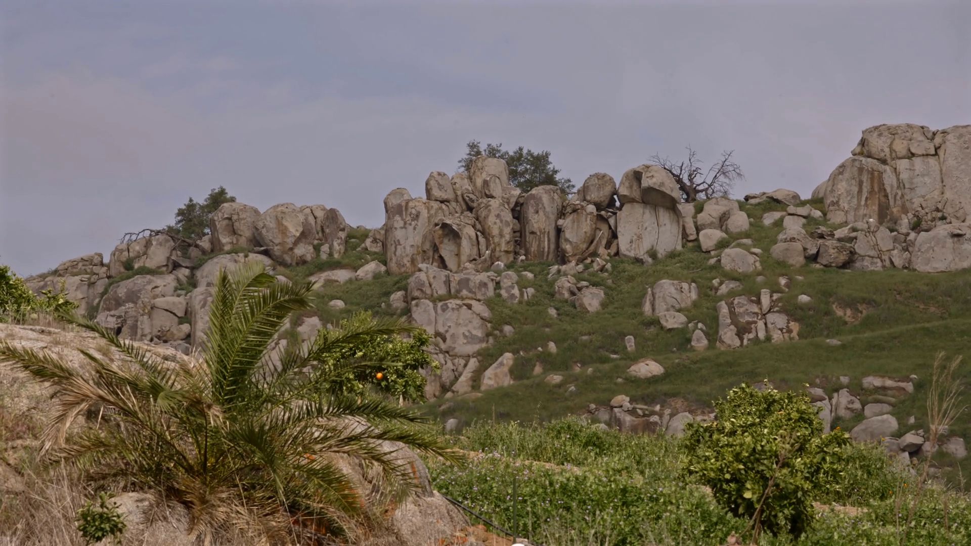 Rocky Ridge With Boulders Sierra Nevada Stock Footage SBV-352868444 ...