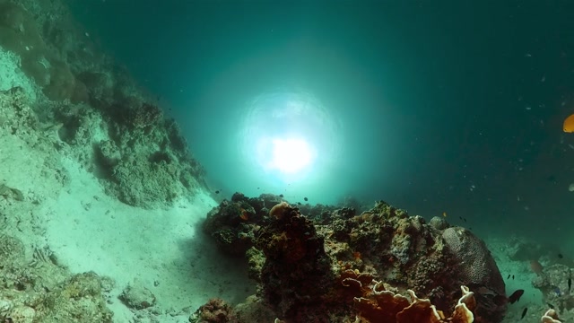 Deep Sea Hydrothermal Vent Stock Footage: Royalty-Free Video Clips ...