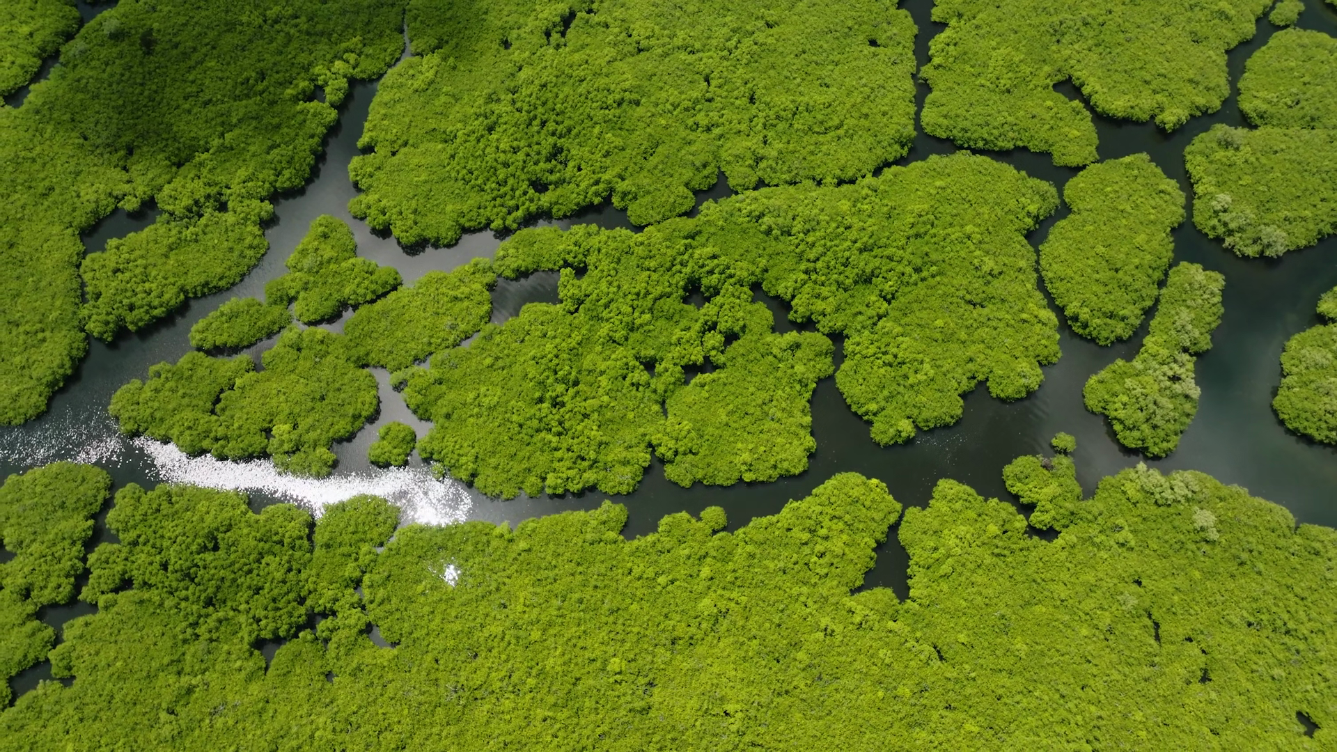 Interconnected Rivers Flowing Through Stock Footage SBV-354037421 ...