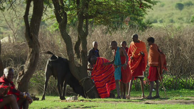 African Tribe Stock Footage: Royalty-Free Video Clips - Storyblocks