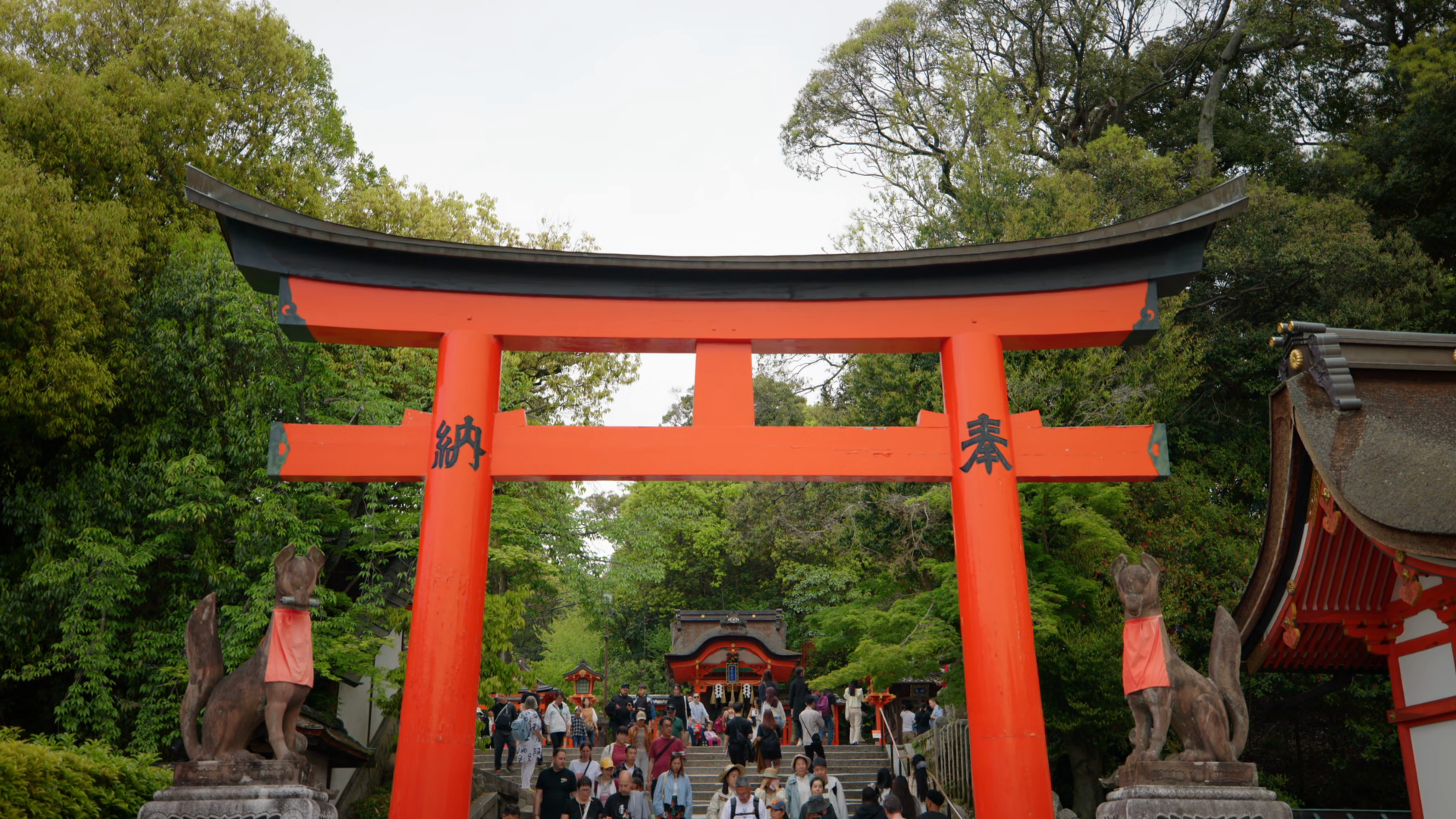Crowds Explore Fushimi Inari Taisha's Iconic Stock Footage SBV ...