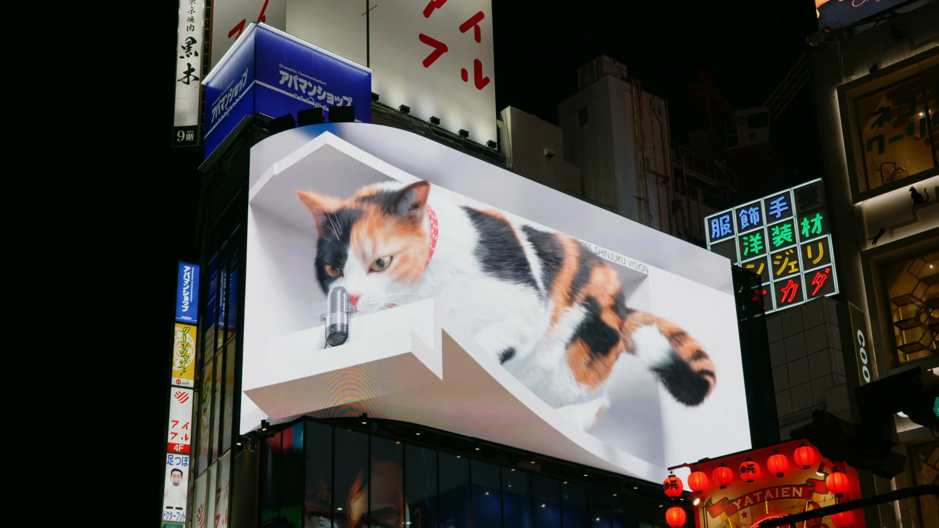Shinjuku 3d Cat Billboard At Night Tokyo Stock Footage SBV-354205537 ...