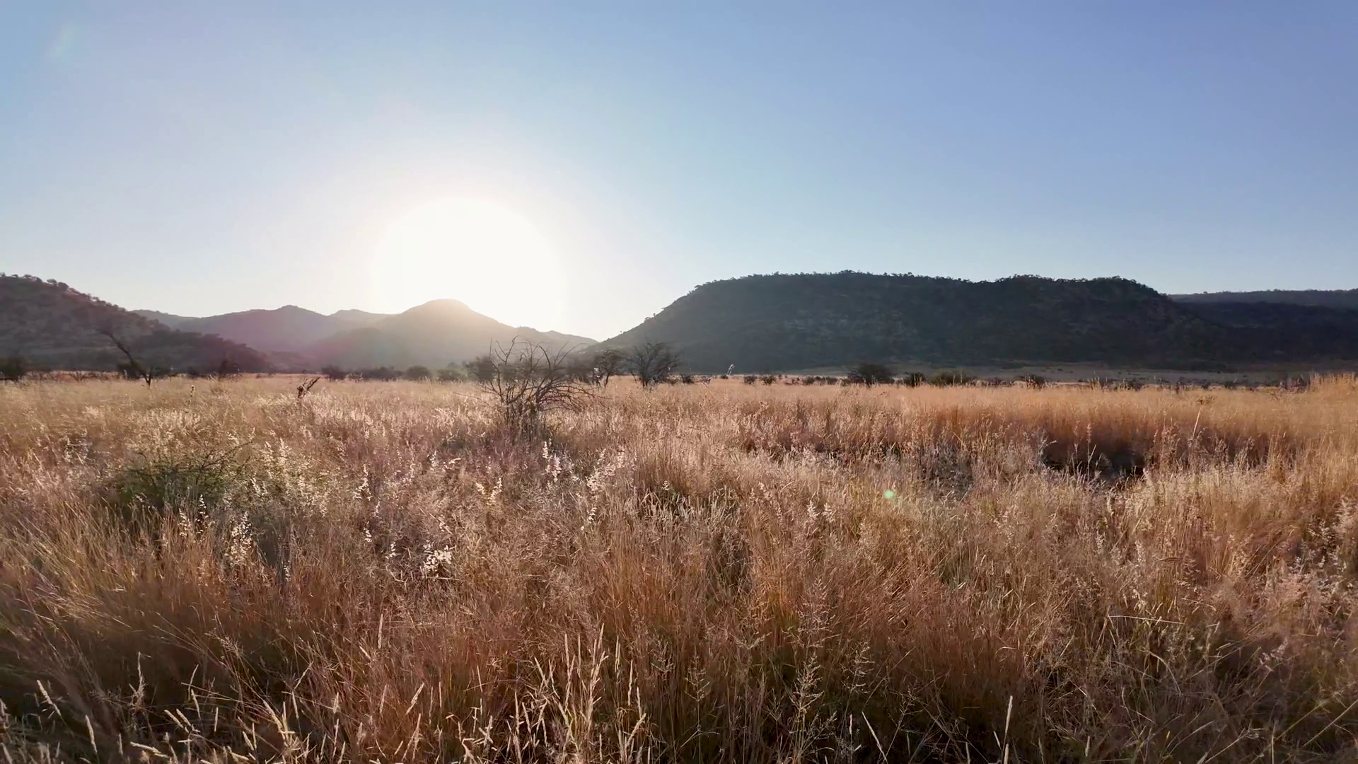 Savannah Skyline At Rustenburg North West Stock Footage SBV-349149604 ...