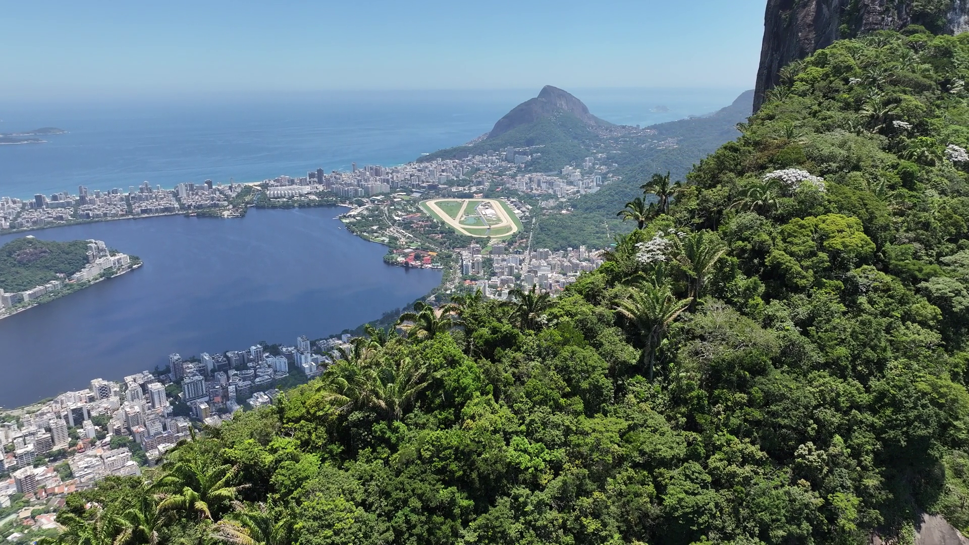 Atlantic Forest In Rio De Janeiro Brazil Stock Footage SBV-348781958 ...