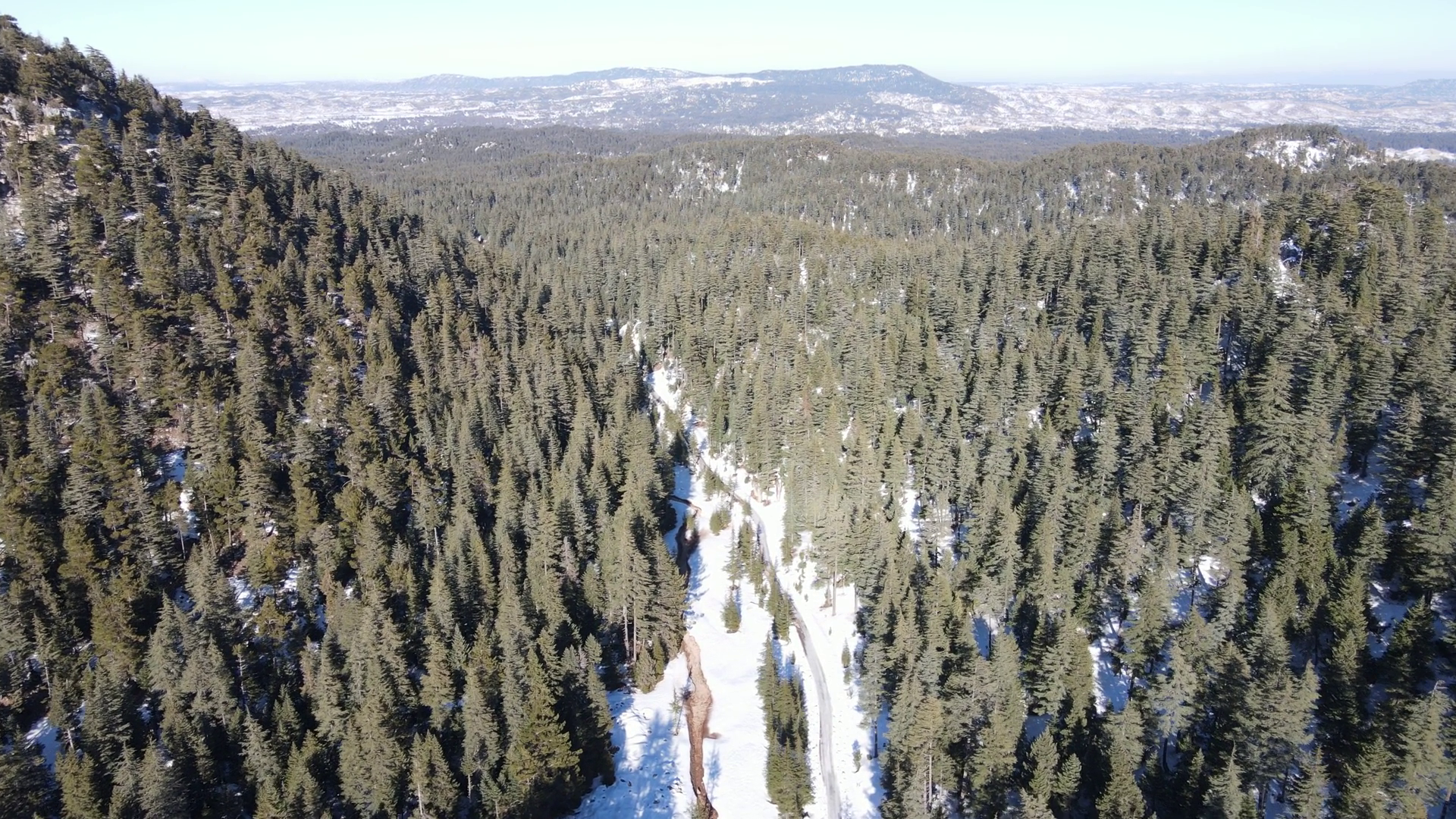 Aerial View Of Snowy Forest Trees Tops On Stock Footage SBV-347650383 ...