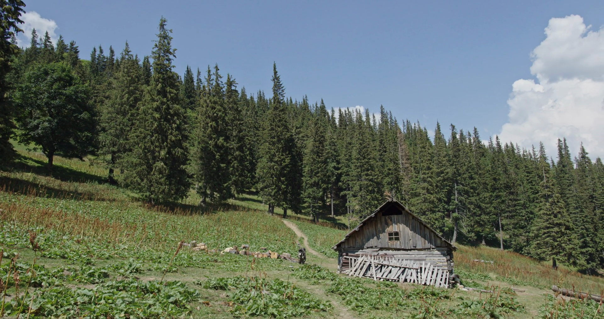Traditional Carpathian Kolyba In Mountains Stock Footage SBV-349016831 ...