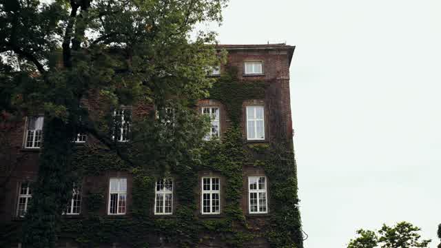 Windows View Stock Footage: Royalty-Free Video Clips - Storyblocks