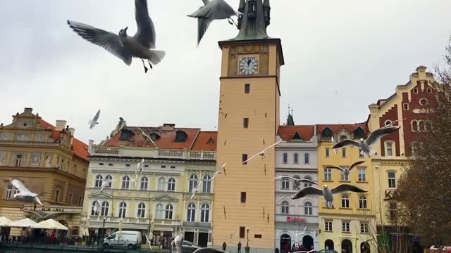 Clock Fly Stock Footage: Royalty-Free Video Clips - Storyblocks