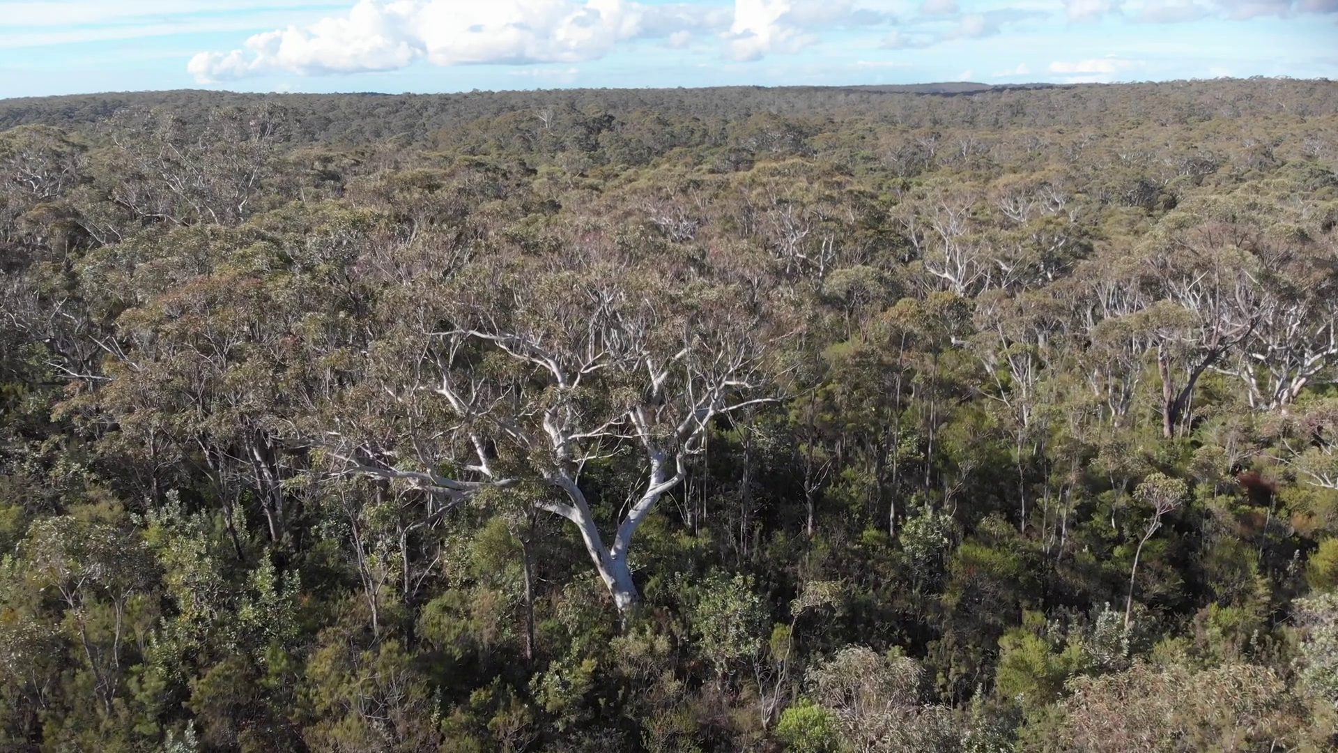 Australia Outback Aerial Footage Over Dry Stock Footage SBV-324967898 ...