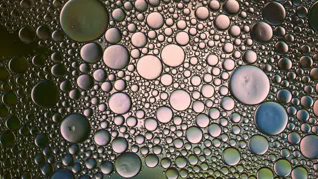 Bubble Pattern Stock Footage: Royalty-Free Video Clips - Storyblocks