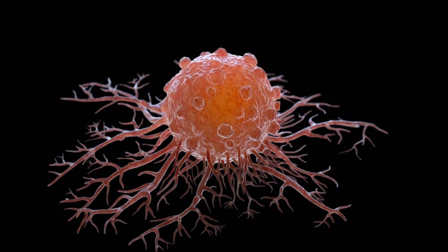 Download 47 Cancer Cells Animation Motion Backgrounds - Storyblocks