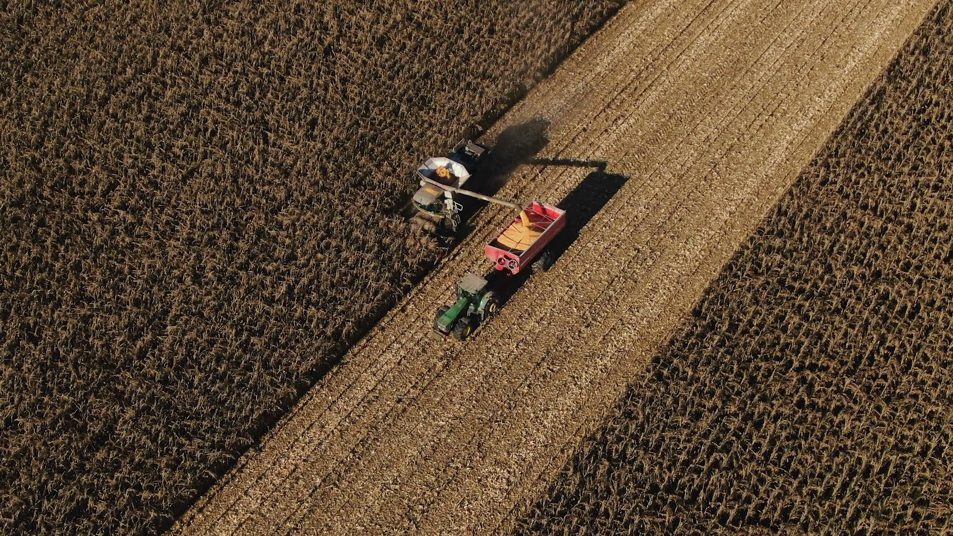 Tractors Farm Machines Harvesting Corn In Stock Footage SBV-349079838 ...