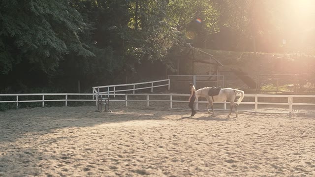 Horse Riding Sunset Stock Footage: Royalty-Free Video Clips - Storyblocks