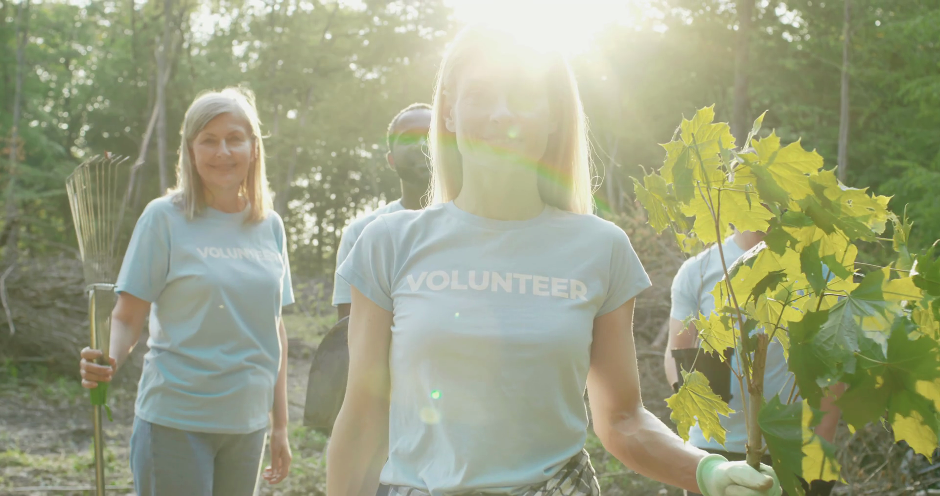 Diverse Team Volunteers: Charitable Work In Stock Footage SBV-347753826 ...