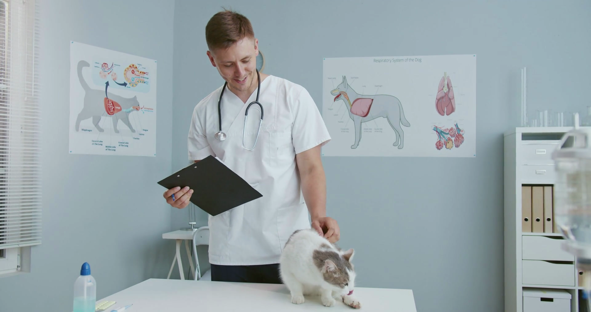 Middle Plan Of Male Veterinarian Standing In Stock Footage SBV ...