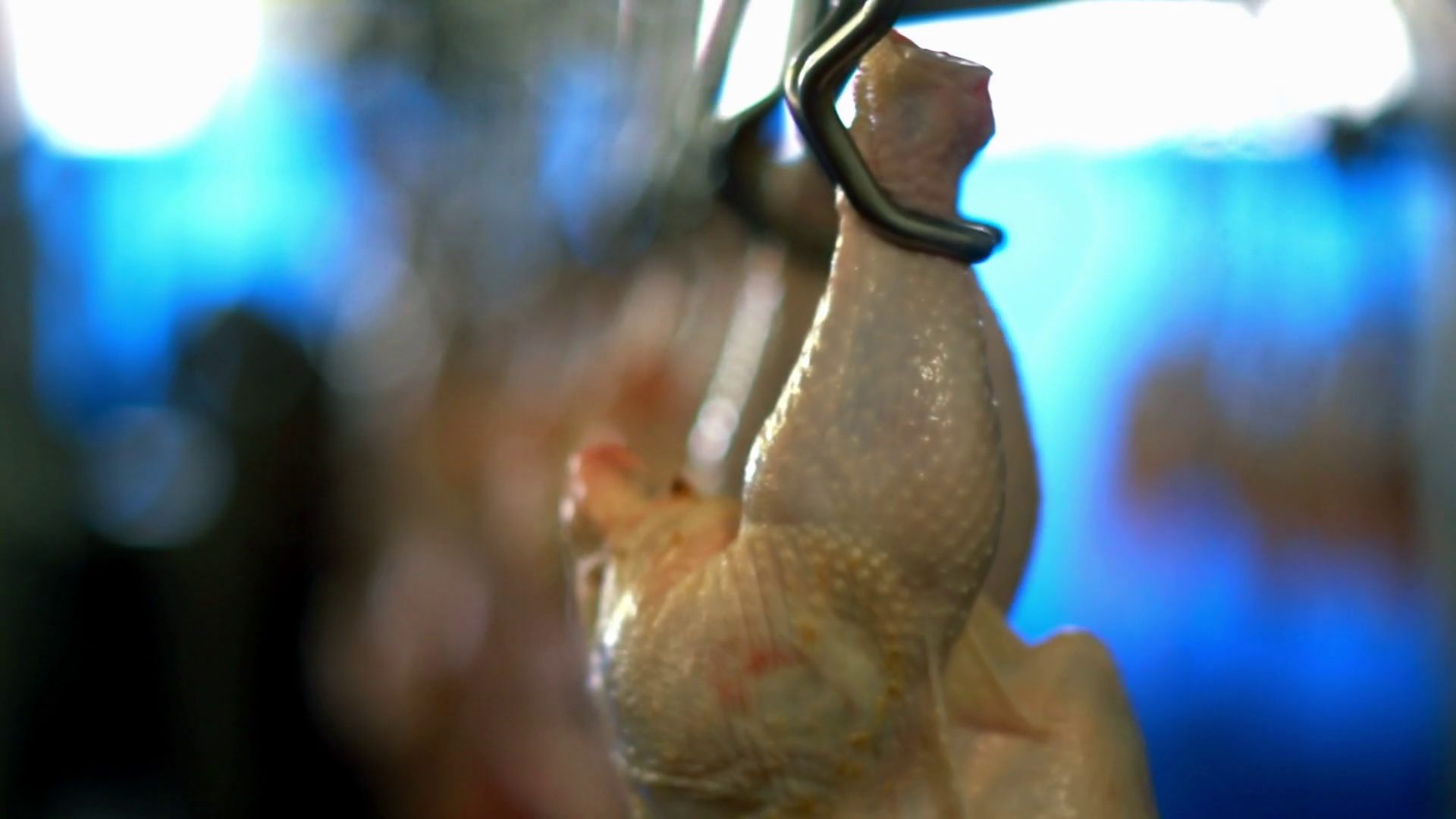 Chicken Meat Processed At Food Processing Stock Footage SBV-304567838 ...