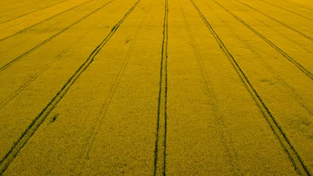 Road Lines Stock Footage: Royalty-Free Video Clips - Storyblocks