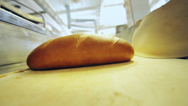 Bread Processing Stock Footage: Royalty-Free Video Clips - Storyblocks