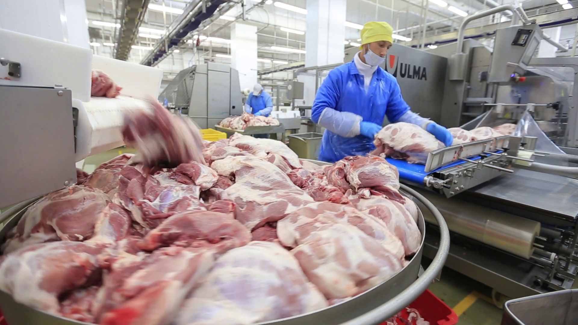People Prepare Fresh Meat Delivery To Stores Stock Footage SBV ...
