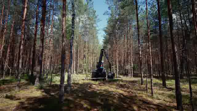 Forestry Equipment Stock Footage: Royalty-Free Video Clips - Storyblocks
