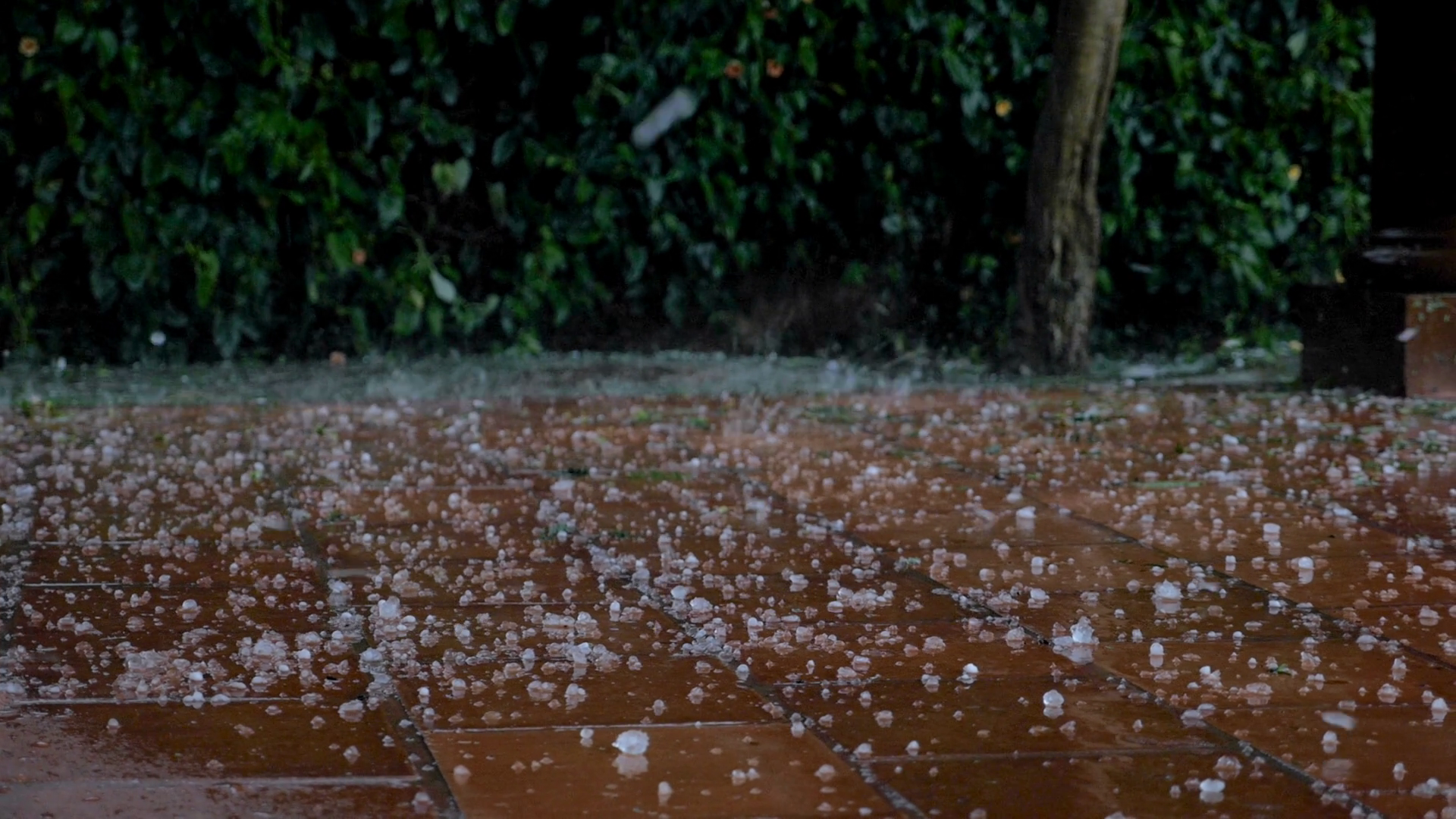 Damaging Large Hail Stones Falling On Tile Stock Footage SBV-333680966 ...