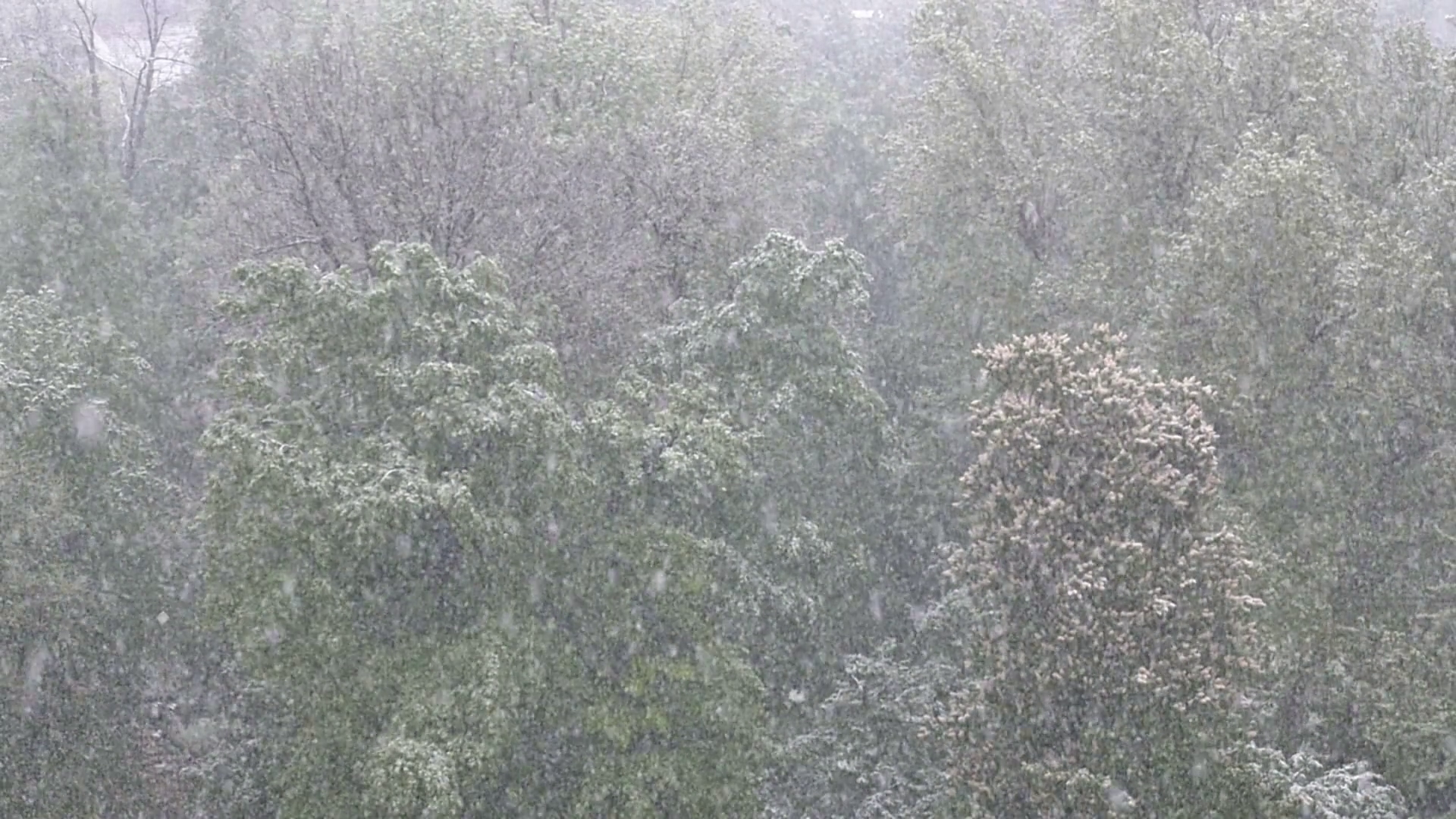 Slow Motion Footage Of Heavy Snow Falling In Stock Footage SBV ...