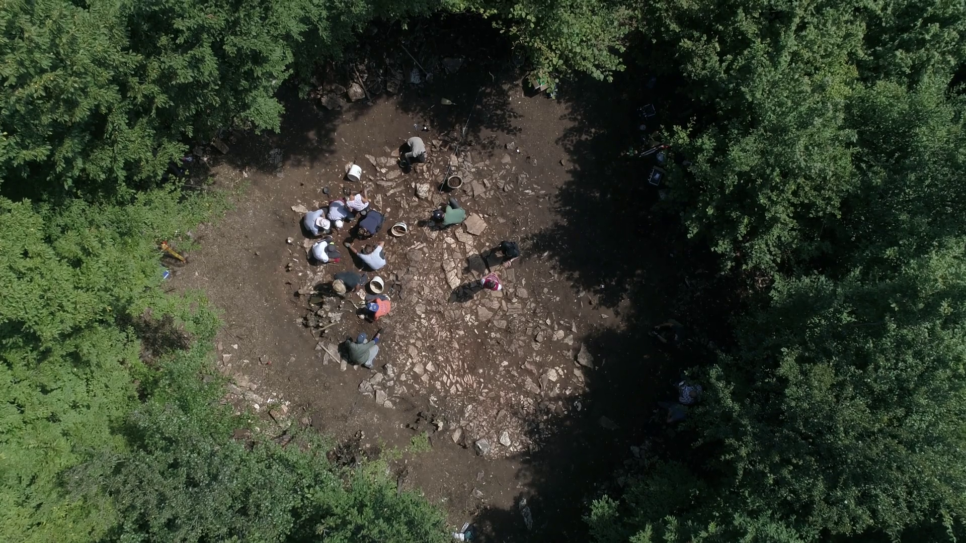 Aerial Shot Showing Group Of People Digging Stock Footage SBV-338112808 ...