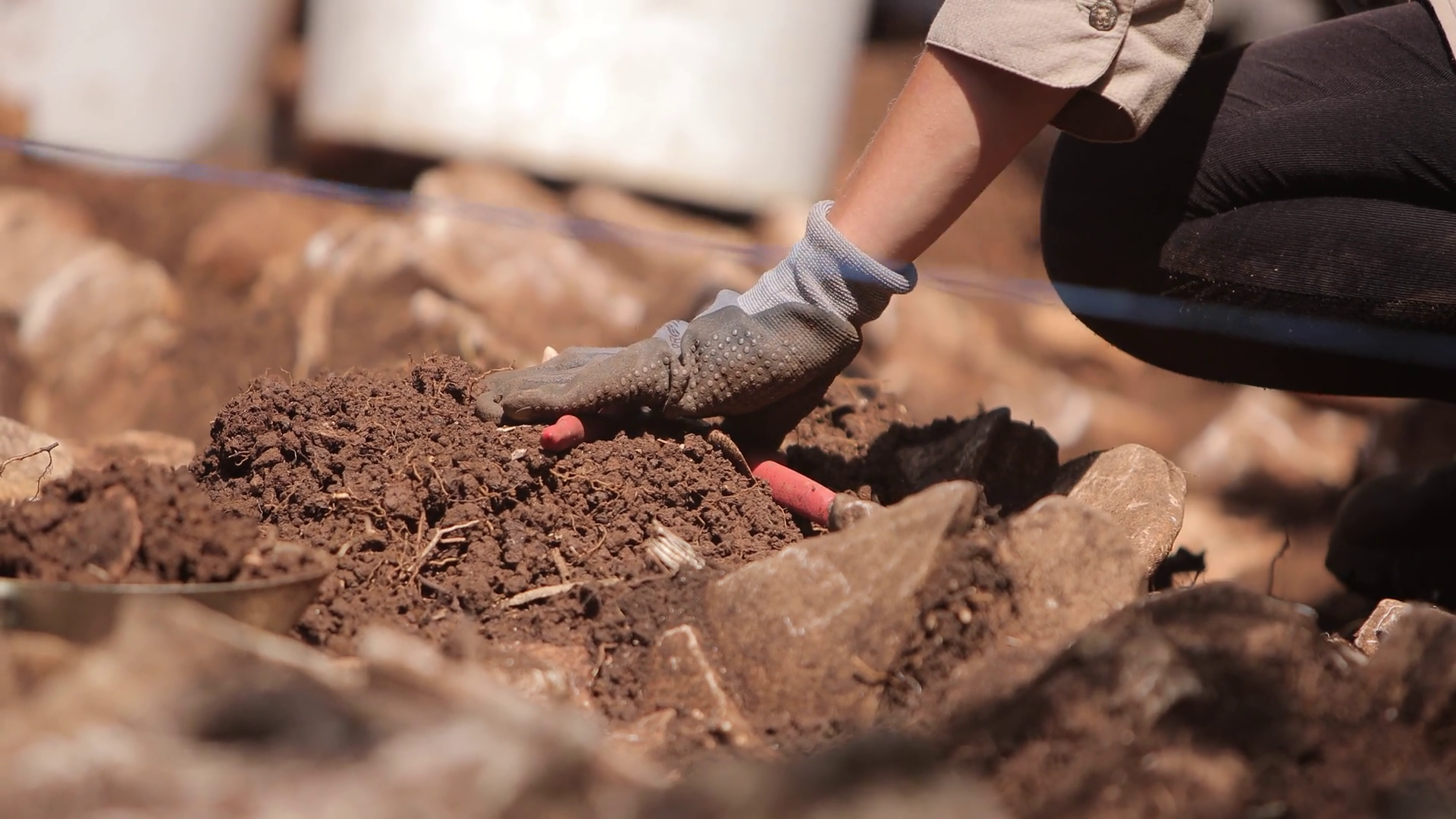 Footage Of Archeologist Digging Removing Stock Footage SBV-338112834 ...