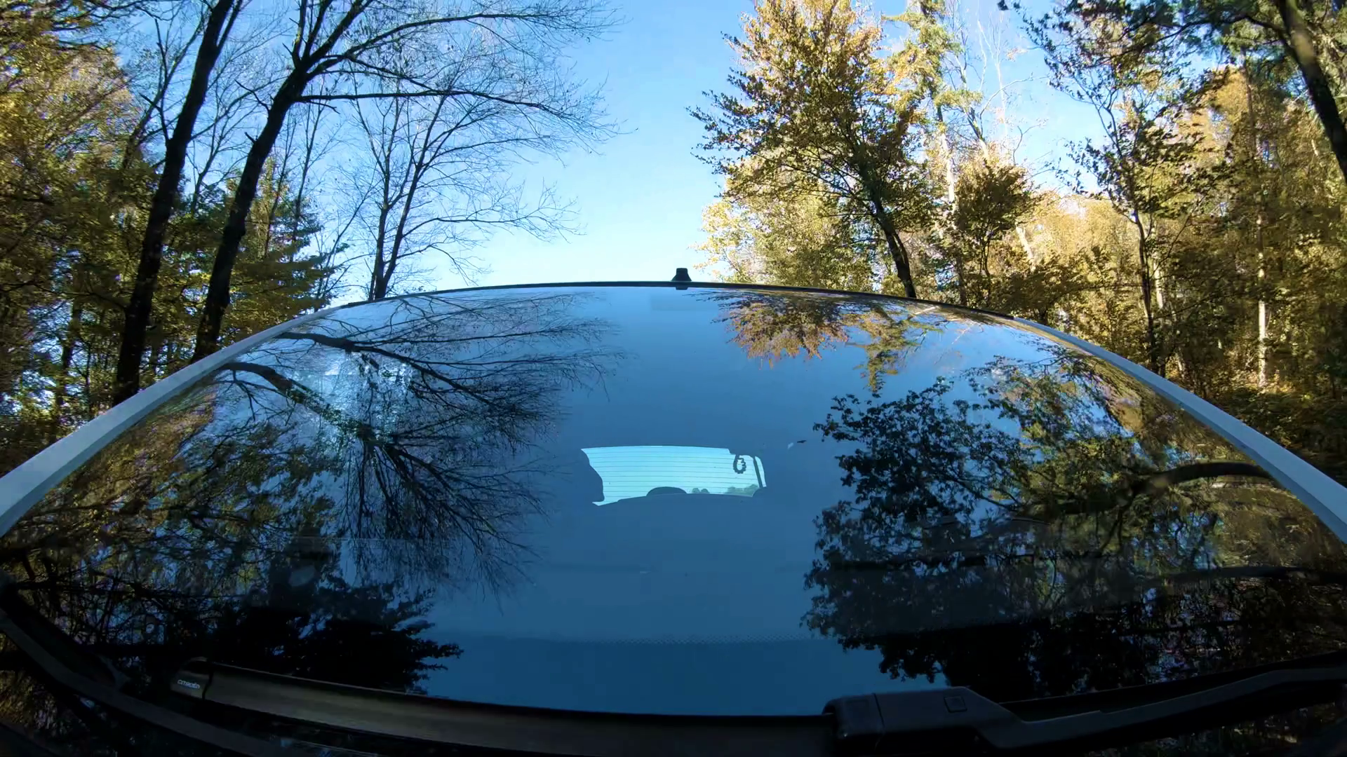 Windshield Trees Reflection From Car Hood 4k Stock Footage SBV ...