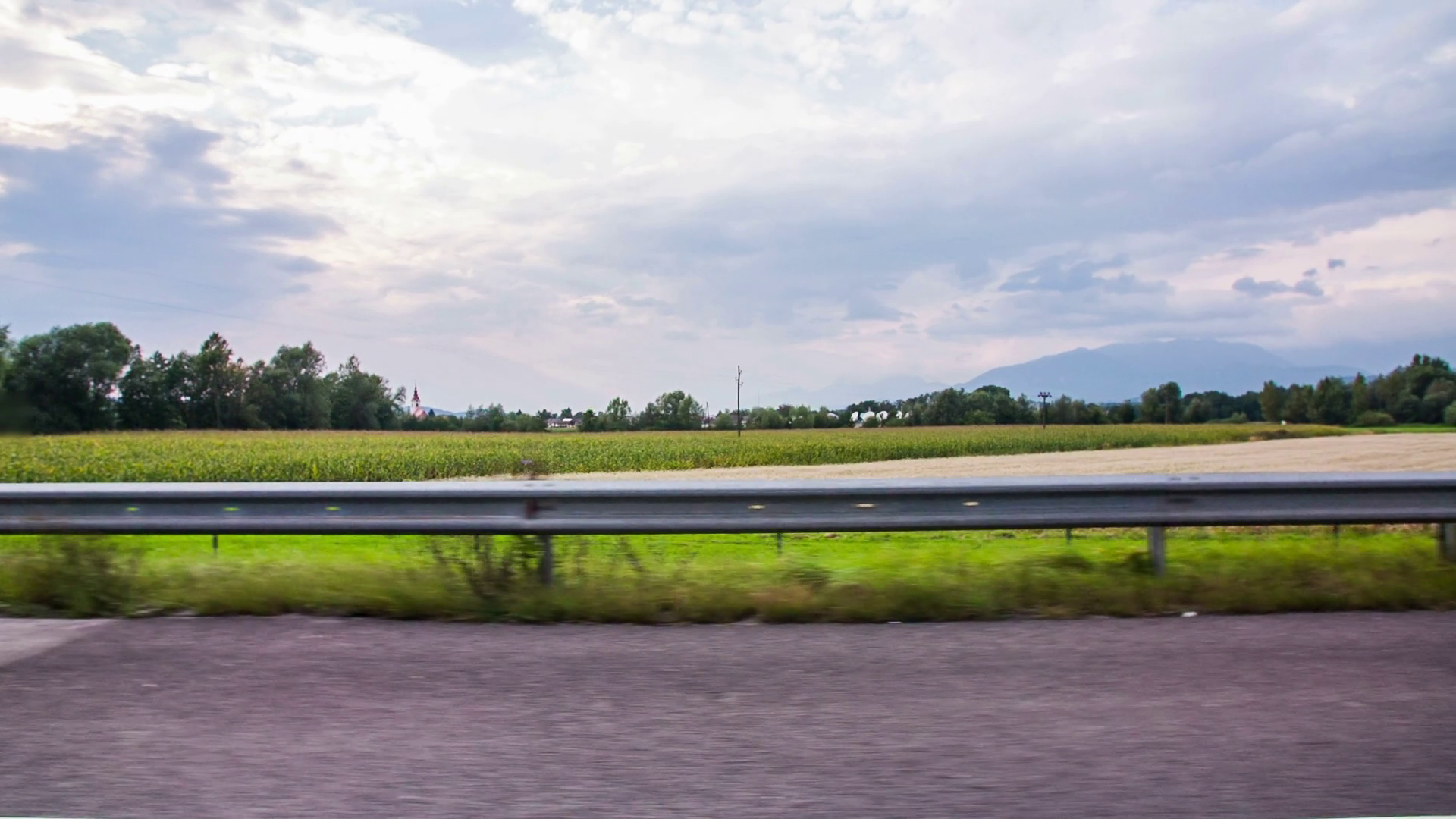 Driving Field Of Wheat Corn Slow Motion Stock Footage SBV-316055259 ...