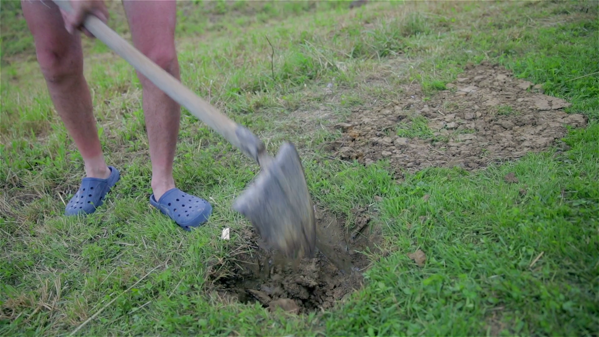 Creating Small Hole In Lawn: Close-up Of Stock Footage SBV-315984830 ...