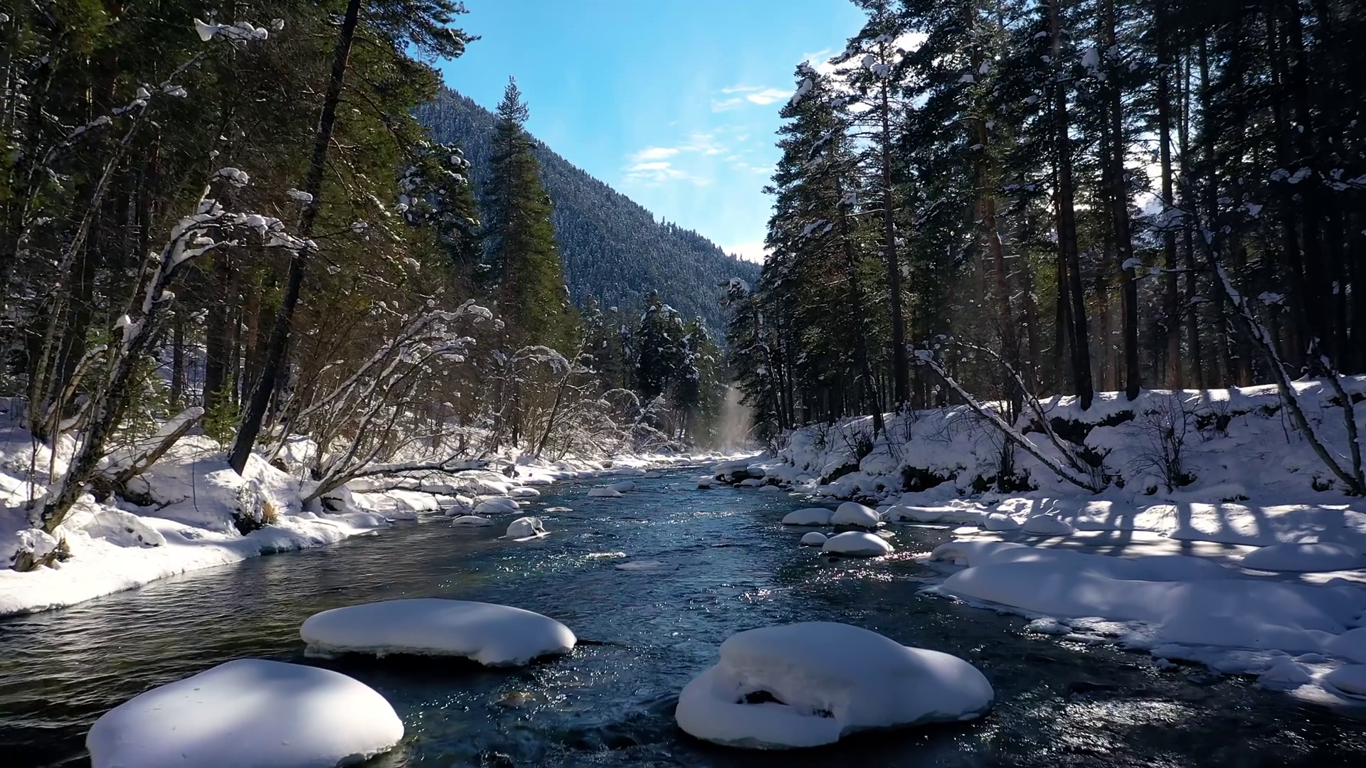 Beautiful Snow Scene Forest In Winter Flying Stock Footage SBV ...