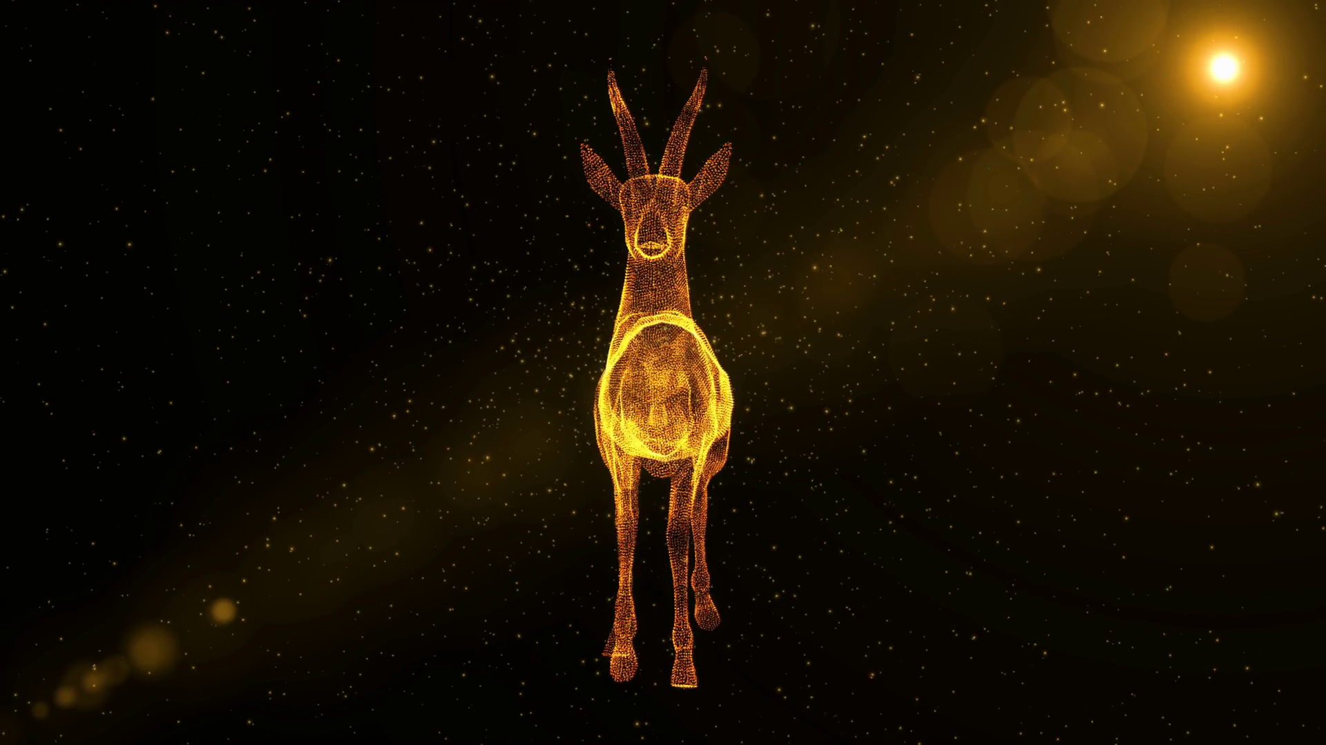 Gazelle Glowing Abstract Animal Walking Stock Motion Graphics SBV ...